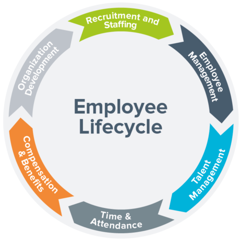 employee lifecycle